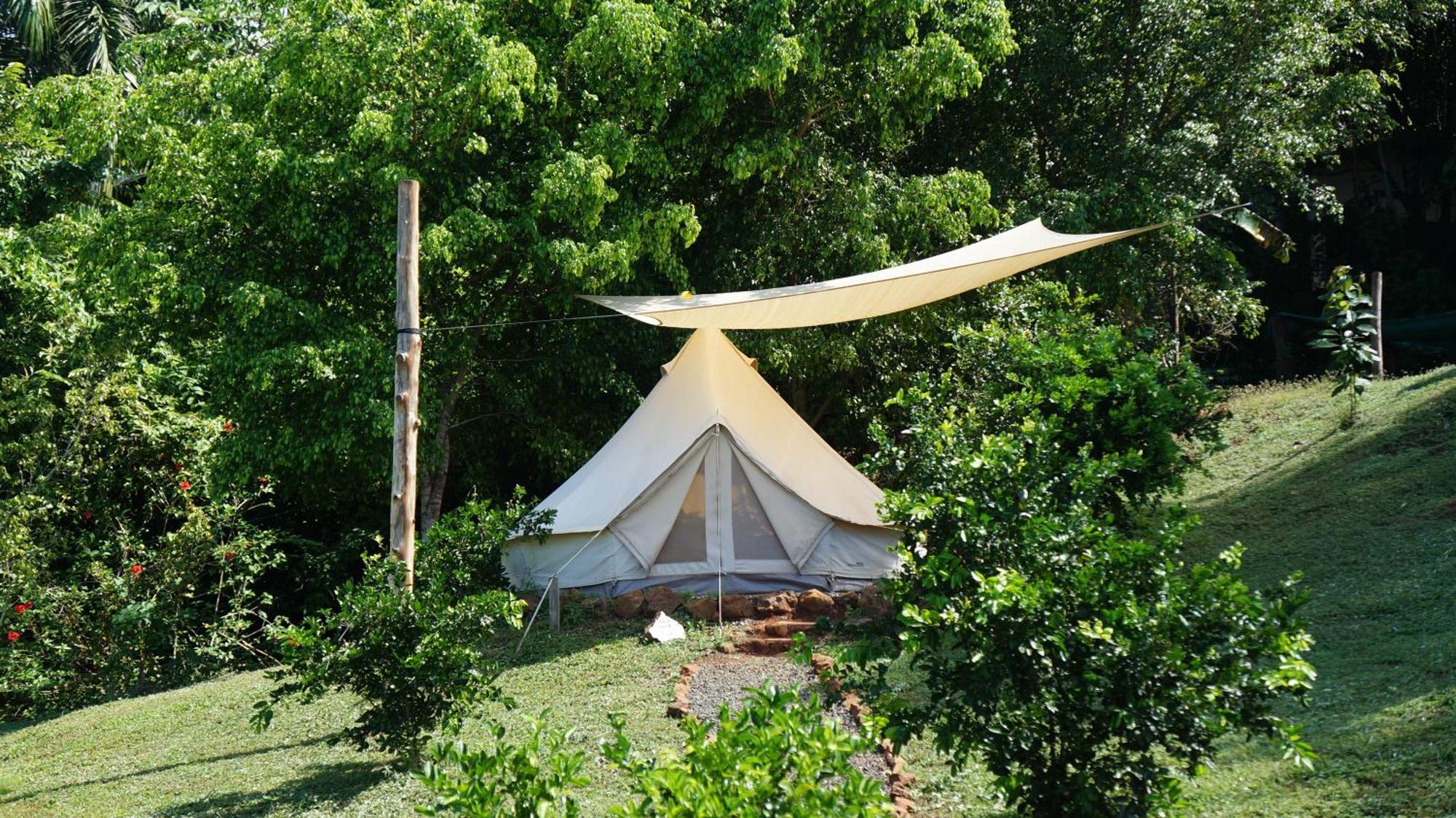 Alouatta Playa Coyote Hostel San Francisco de Coyote Kültér fotó