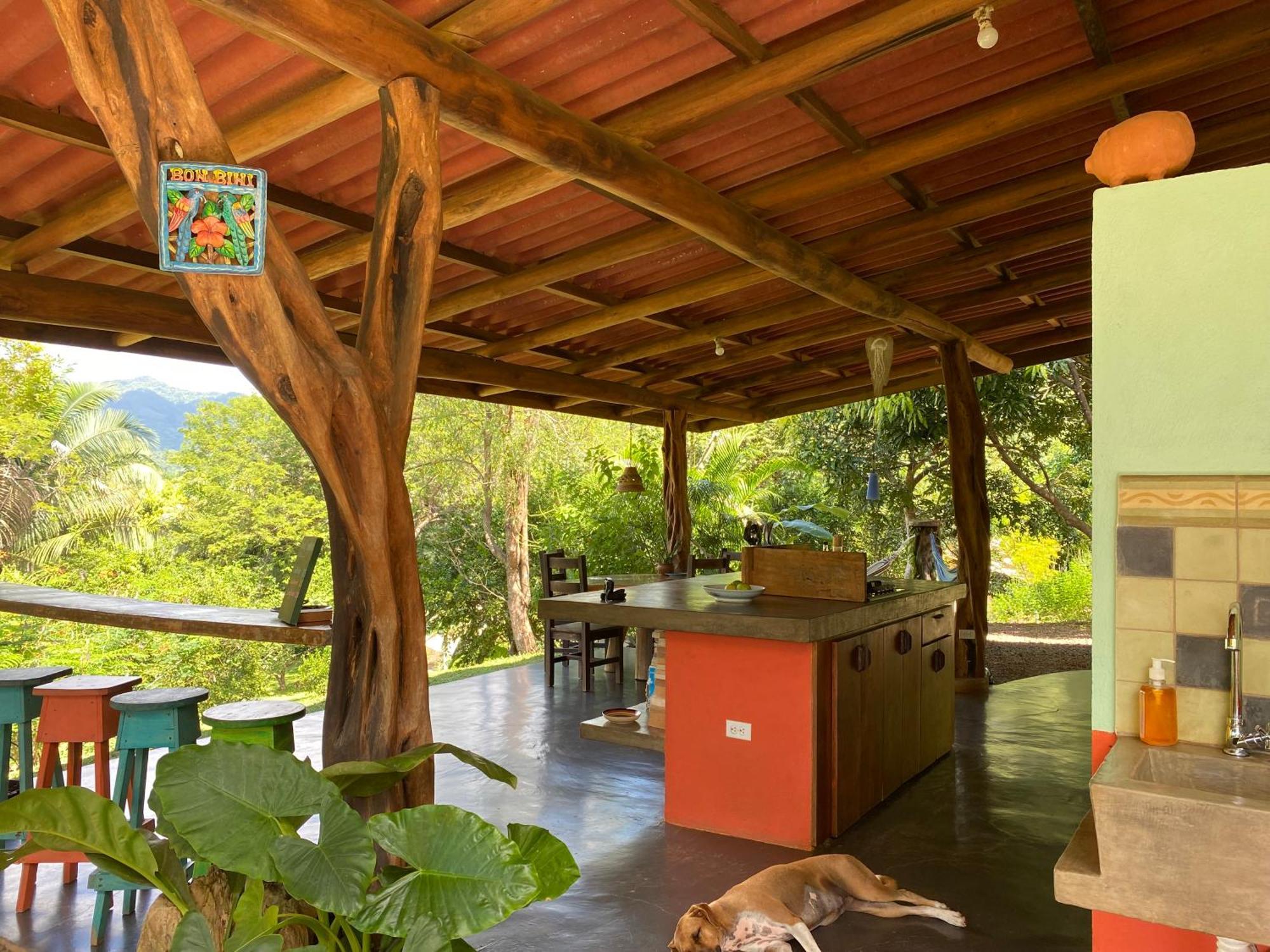 Alouatta Playa Coyote Hostel San Francisco de Coyote Kültér fotó